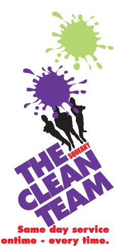 The Squeaky Clean Team Balaclava